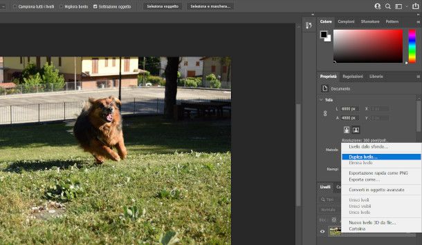 duplica livello Photoshop