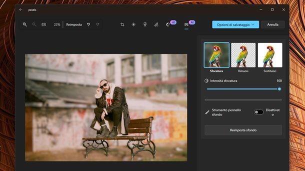 Come sfocare le foto dietro app Foto Windows 11
