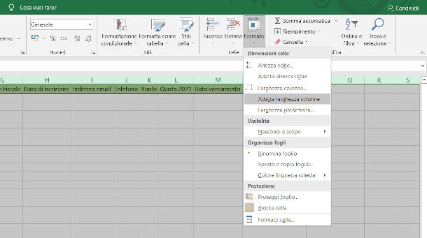 adatta larghezza colonne Excel