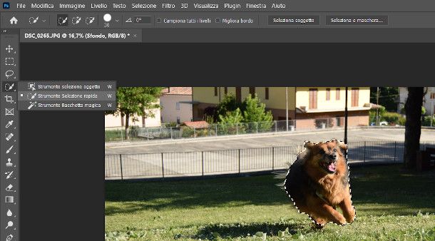 Seleziona rapida Photoshop