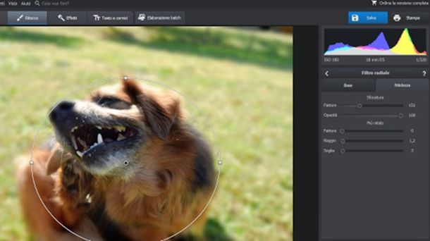 Altri programmi per sfocare foto PhotoWorks