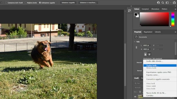 Sfocare foto Photoshop