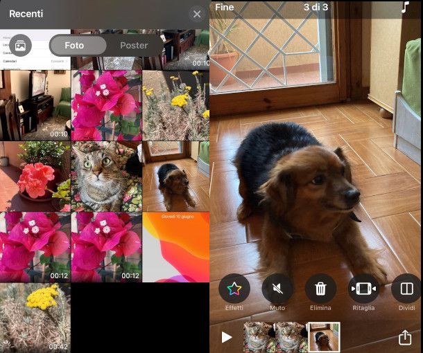 come creare video con foto Clips iPhone