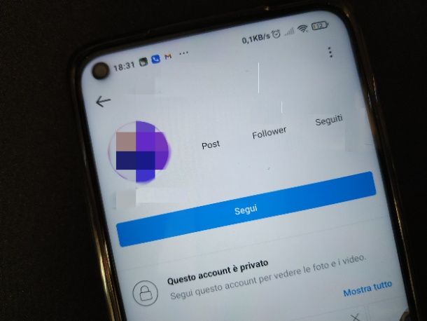 Profilo privato Instagram