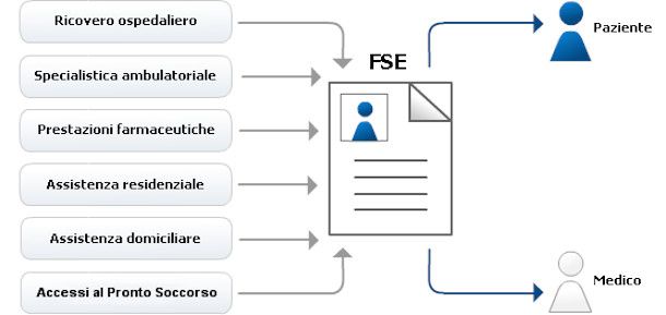 FSE schema