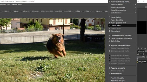Come sfocare foto gratis con GIMP