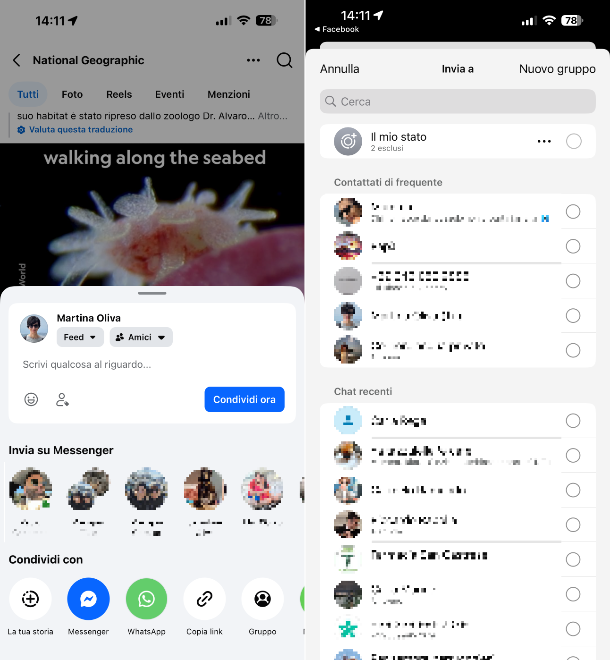 Condivisione Facebook WhatsApp iPhone