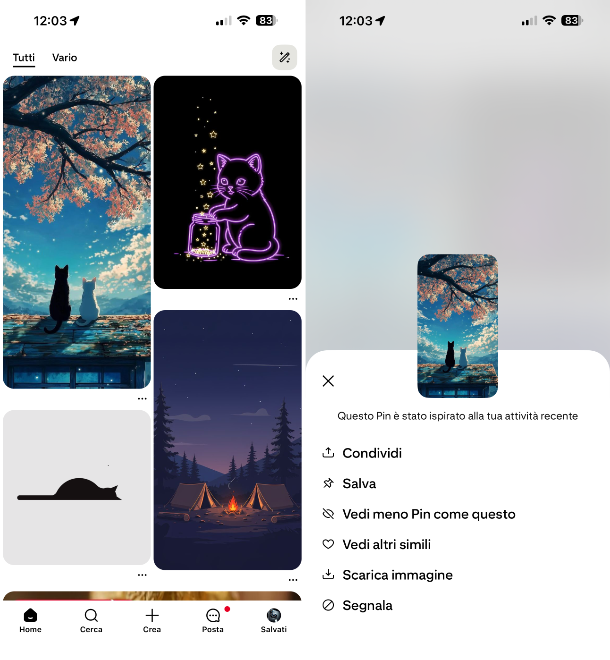 Pinterest iOS