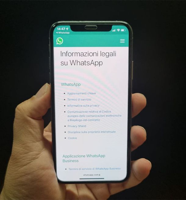 termini e informazioni sulla privacy di WhatsApp