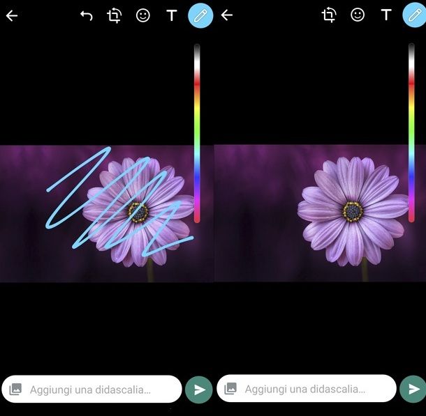 Come togliere gli scarabocchi dalle foto WhatsApp