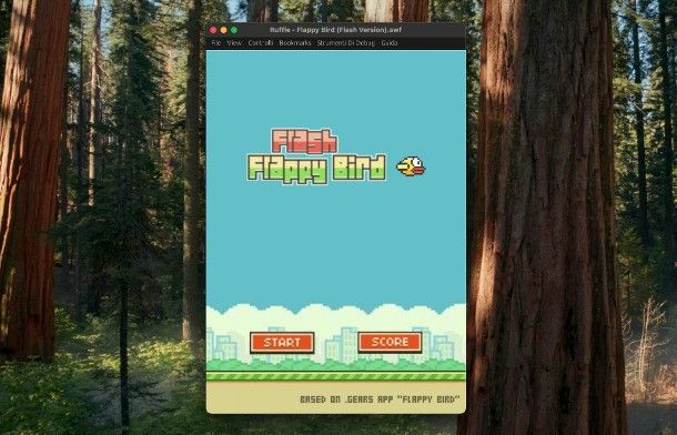 Adobe Flash Player — Download