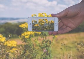 Applicazione per riconoscere le piante