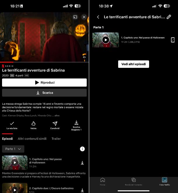 Netflix download