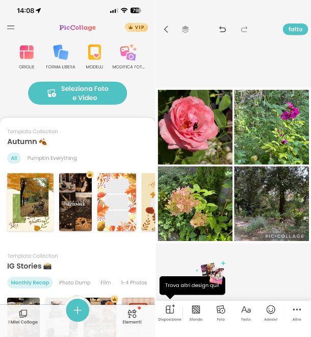 PicCollage