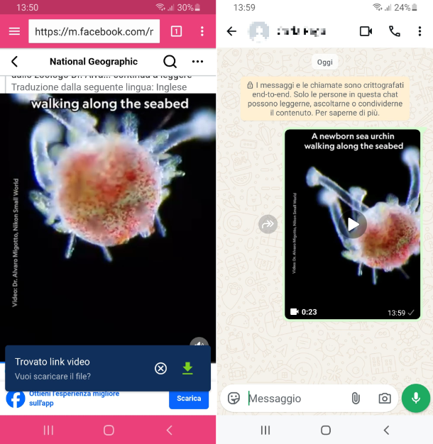 Condivisione Facebook WhatsApp Android