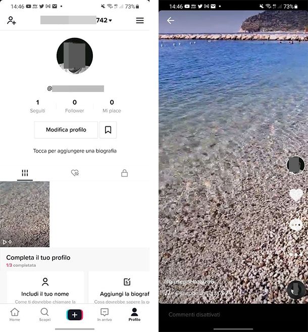 Come salvare video TikTok senza logo Salvatore Aranzulla