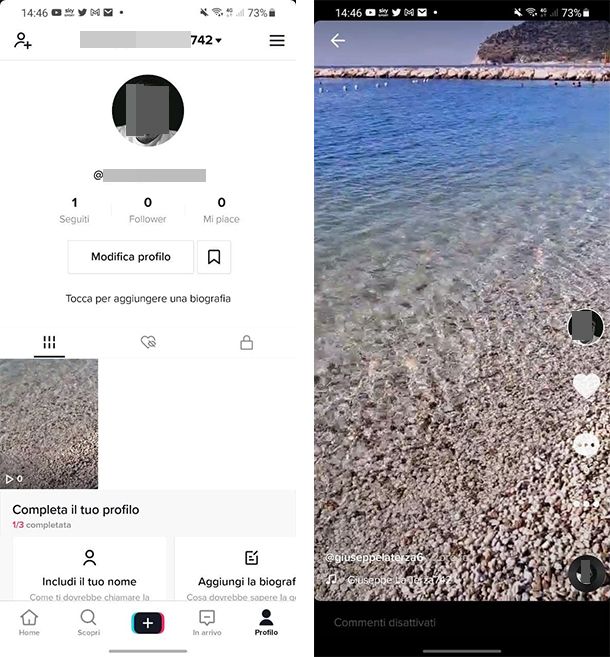 Salvare video TikTok senza logo su Android