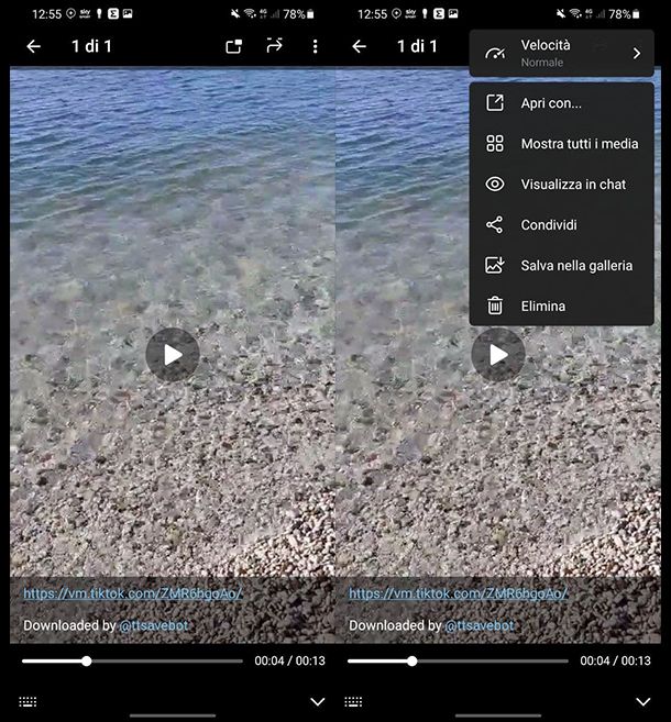 Salvare video TikTok senza logo con Telegram