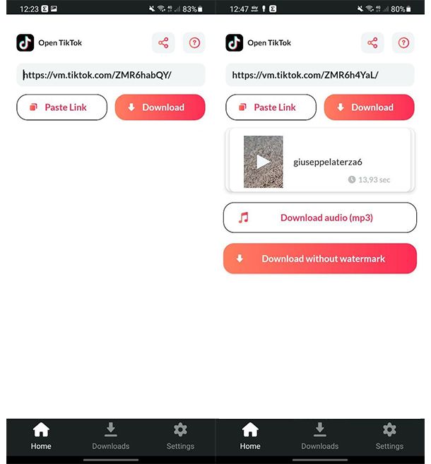 Salvare video TikTok senza logo su Android