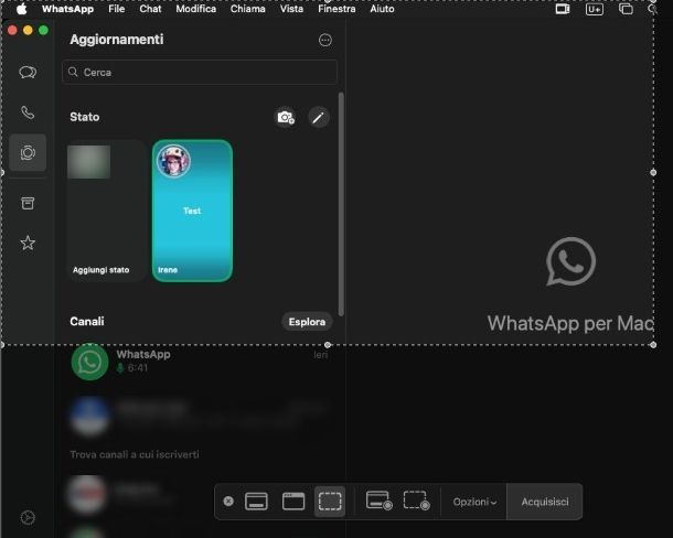 Come salvare lo stato di WhatsApp degli altri