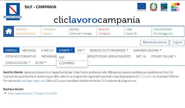 Come richiedere la Scheda Anagrafica Professionale online