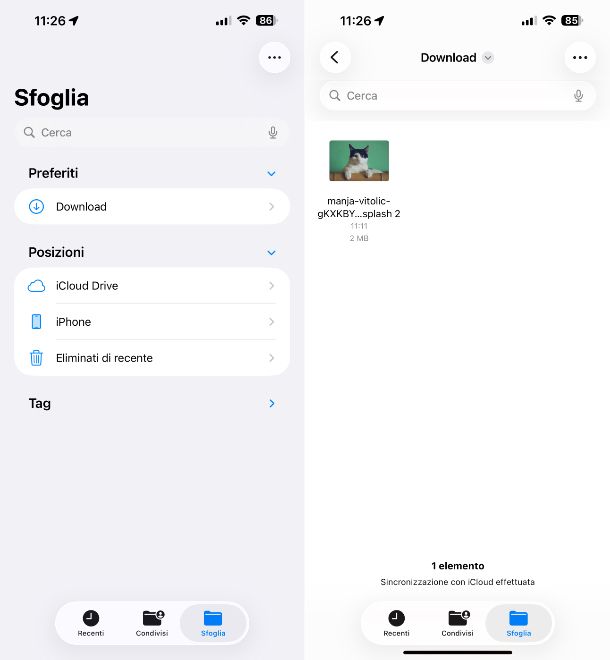 File app iOS