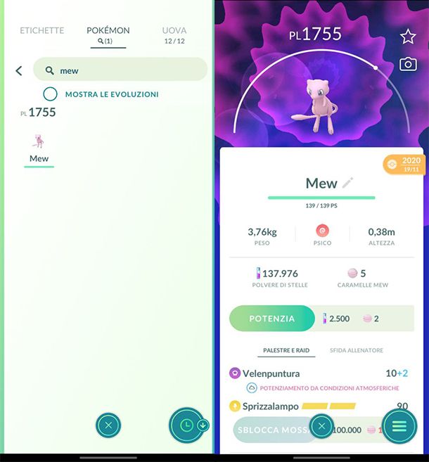 Mew in Pokémon GO