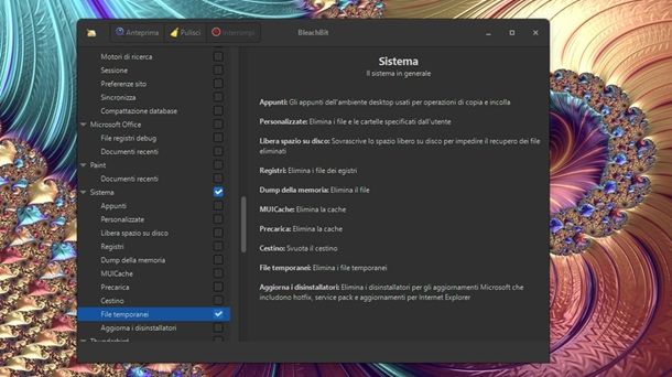 BleachBit Windows 11