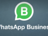 WhatsApp Business: che cos’è e come funziona