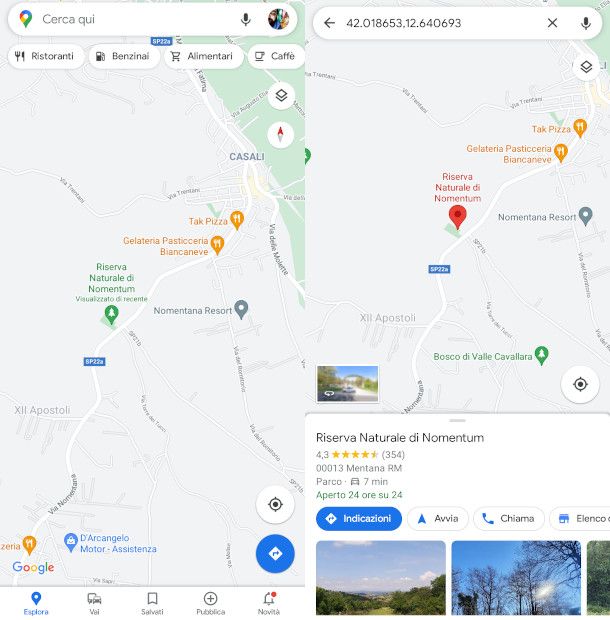 localizzazione su google maps