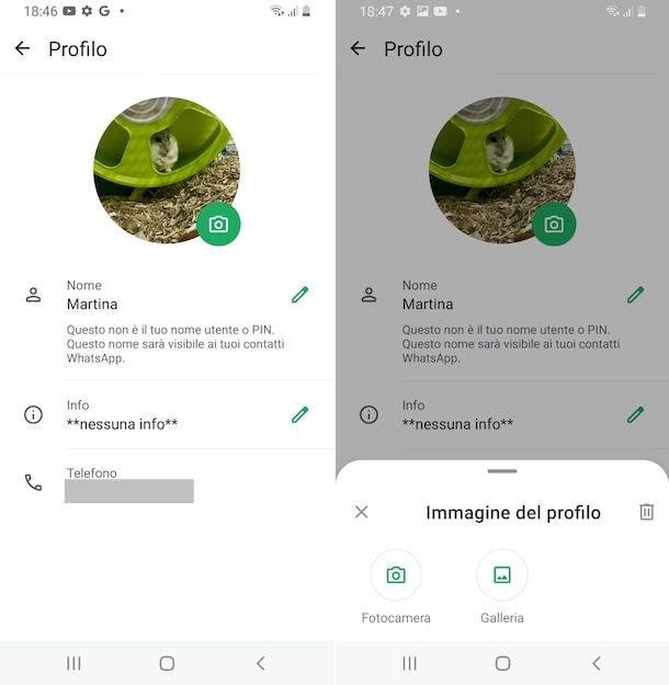 WhatsApp Android