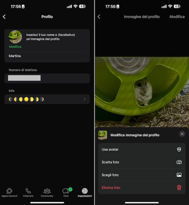 WhatsApp iPhone
