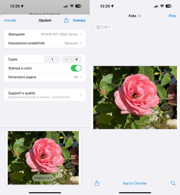 Stampante PDF iOS