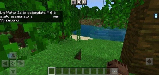 Effetto pozione senza particellari Minecraft Bedrock