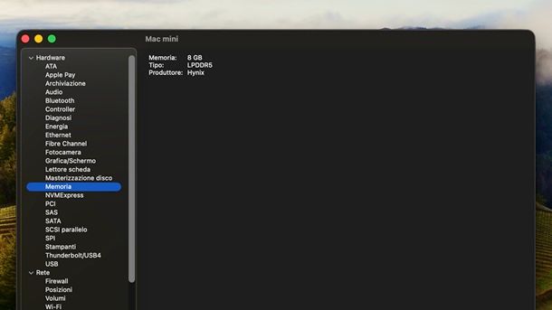 Tipologia RAM Mac
