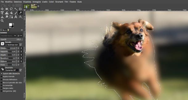 Come rendere una foto sfocata con GIMP