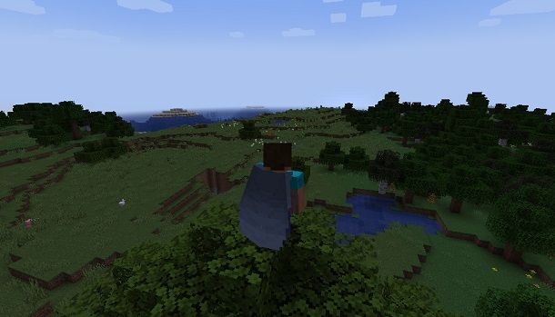 Elitre su Minecraft
