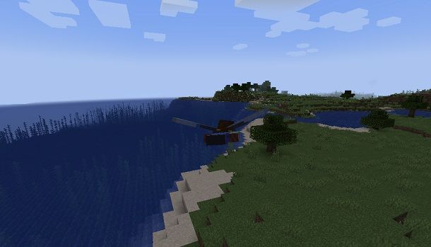 Elytra su Minecraft