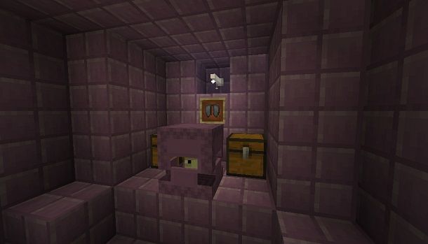 Elytra su Minecraft