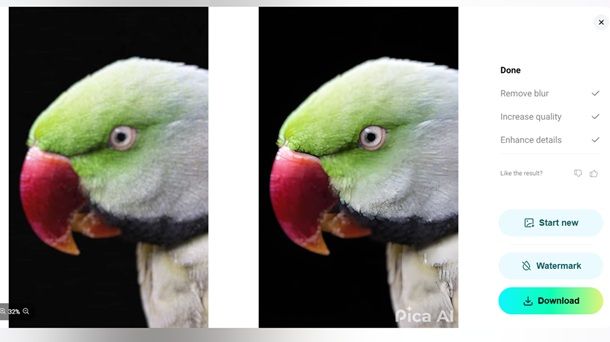 Pica AI migliorare foto sfocate