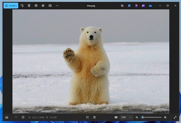 Foto Windows 11