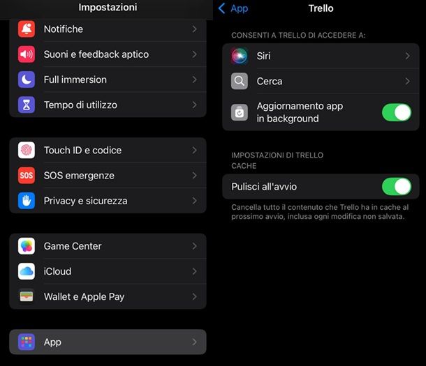 Pulisci app all'avvio iPhone e iPad