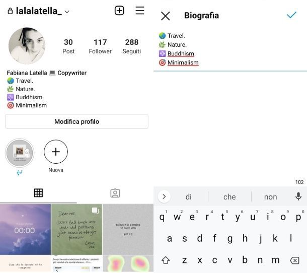 Modificare bio Instagram