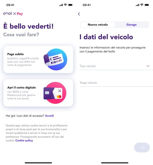 Enel X Pay