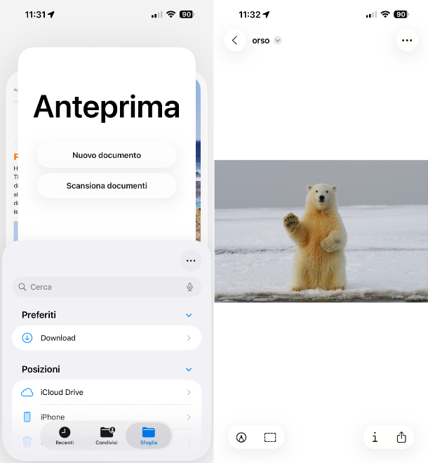 Anteprima iOS