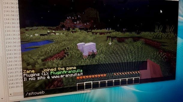 Plugin personalizzato Minecraft Java