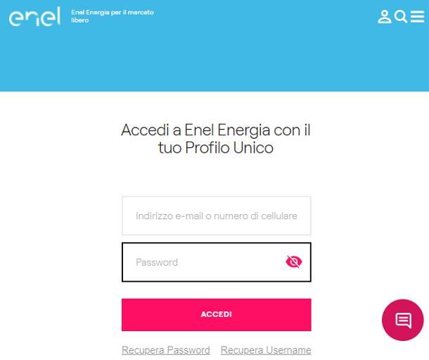 Come pagare le bollette con il cellulare: sito Web/app del fornitore