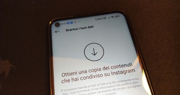 Scaricare dati Instagram app