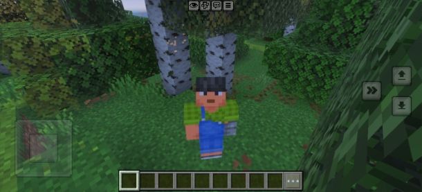 Come cambiare visuale su Minecraft telefono
