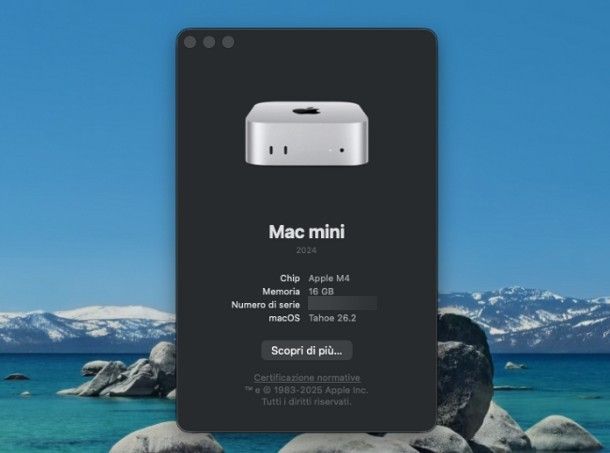 Come vedere il modello del PC